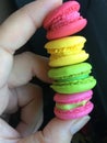 Colorful rows of macaron in hand